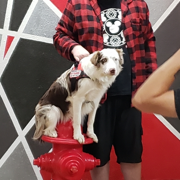 Meet your Posher, Tamara - Picture 10 of 11